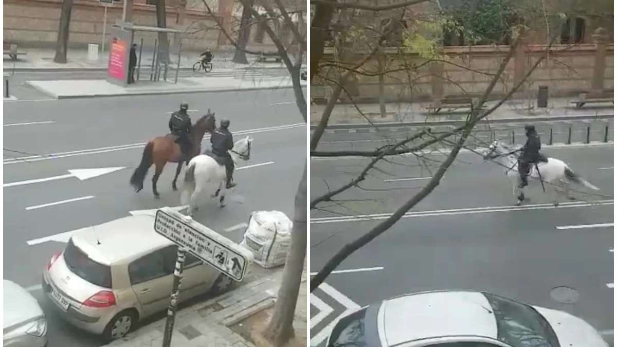 La Policía persigue a caballo a un ciclista