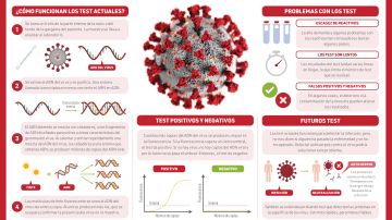 Asi son las pruebas de PCR utilizadas para detectar el SARS Cov 2