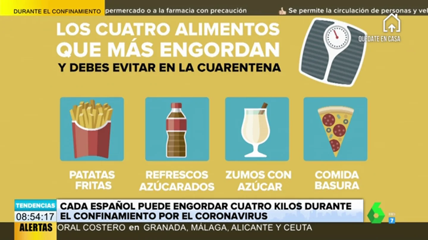 alimentos alimentos