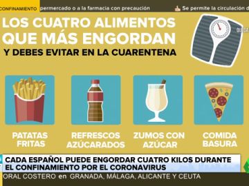 alimentos alimentos