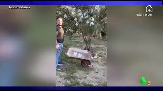 La 'verdadera' prueba de que desde que comenzó la cuarentena "el campo ya no cultiva tomates, sino papel higiénico" La 'verdadera' prueba de que desde que comenzó la cuarentena "el campo ya no cultiva tomates, sino papel higiénico"