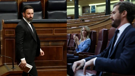Santiago Abascal y Pablo Casado, críticos con la gestión del Gobierno de la crisis del coronavirus. Santiago Abascal y Pablo Casado, críticos con la gestión del Gobierno de la crisis del coronavirus.