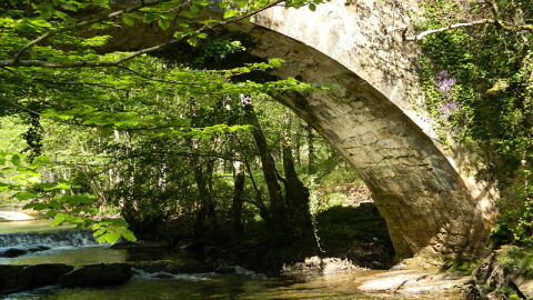 Puente río Baias Gorbea