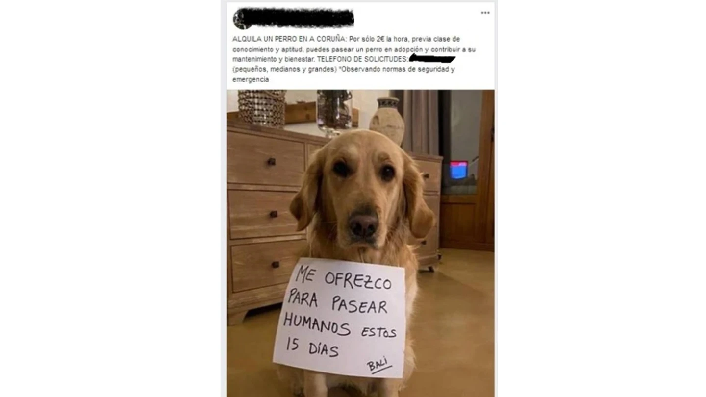 Anuncio que publicó el denunciado Anuncio que publicó el denunciado