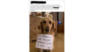 Anuncio que publicó el denunciado