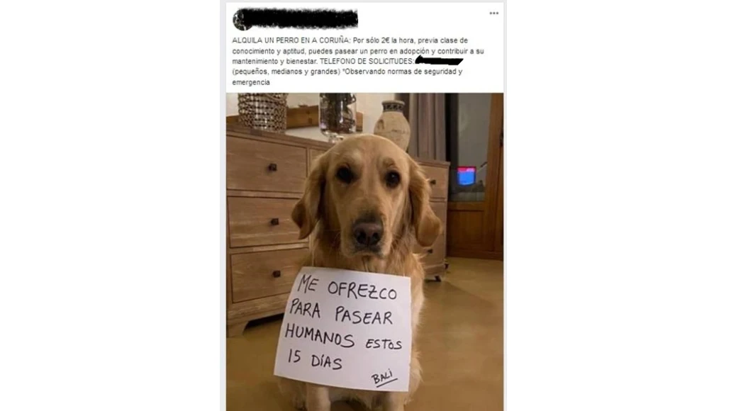 Anuncio que publicó el denunciado