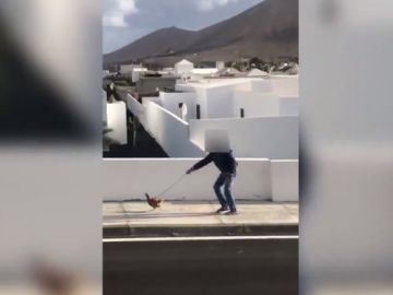 Imagen del vecino denunciado por pasear a una gallina saltándose el confinamiento Imagen del vecino denunciado por pasear a una gallina saltándose el confinamiento