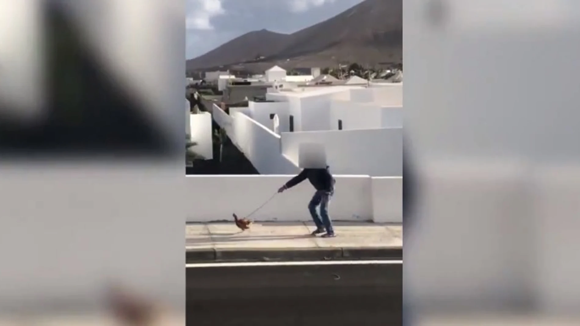Imagen del vecino denunciado por pasear a una gallina saltándose el confinamiento