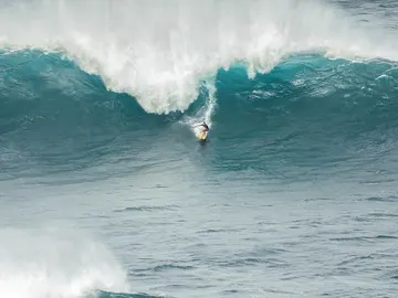 Surf Surf