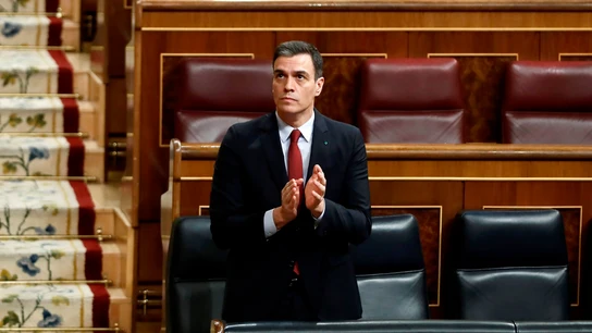 Pedro Sánchez, durante la votación de la prórroga del Estado de Alarma Pedro Sánchez, durante la votación de la prórroga del Estado de Alarma