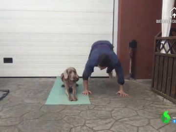 Sí, hacer deporte con tu perro es posible: Gotzon Mantuliz y su perra Noa te lo demuestran con este ejercicio Sí, hacer deporte con tu perro es posible: Gotzon Mantuliz y su perra Noa te lo demuestran con este ejercicio