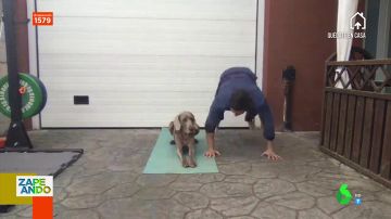 Sí, hacer deporte con tu perro es posible: Gotzon Mantuliz y su perra Noa te lo demuestran con este ejercicio