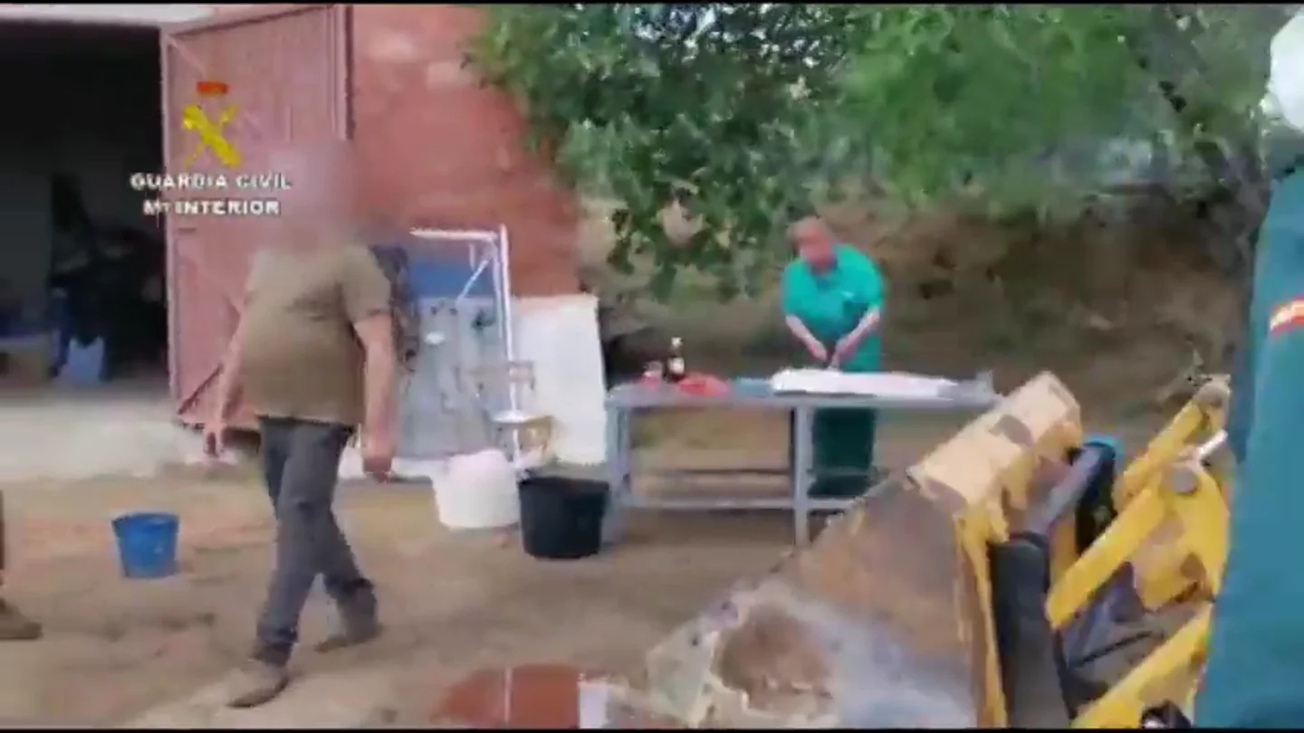Sorprendidos realizando la matanza de un cerdo en pleno estado de alarma Sorprendidos realizando la matanza de un cerdo en pleno estado de alarma