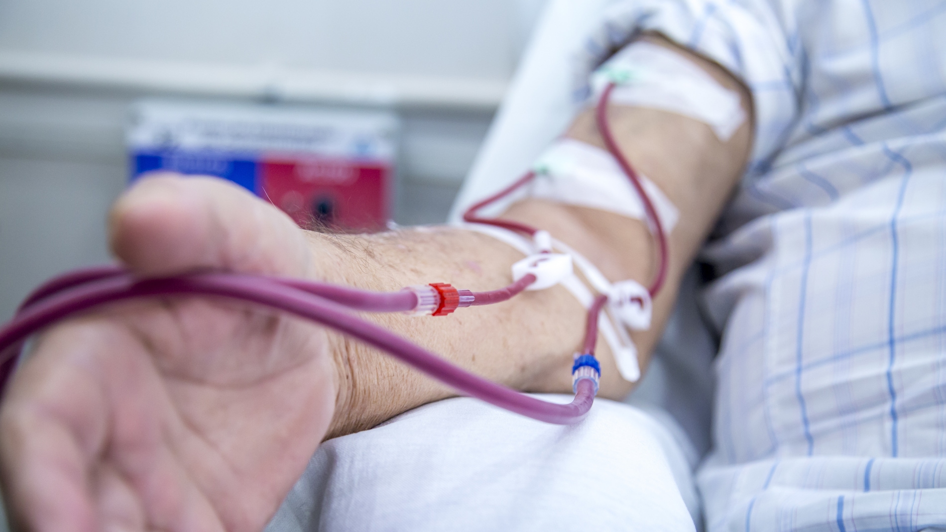 Donar plasma sanguineo de pacientes curados de la COVID 19 para tratar casos graves