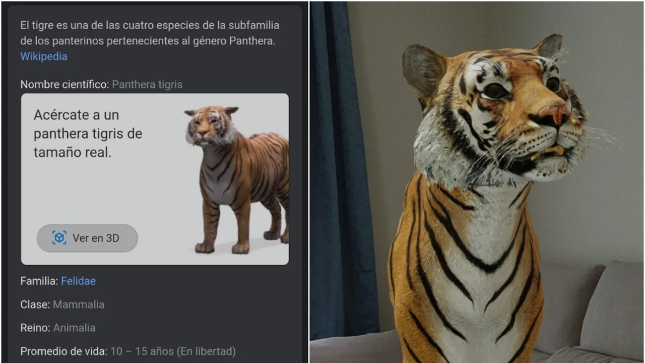Tigres, tiburones y otros animales en 3D con realidad aumentada: cómo se  hace, qué animales hay y qué necesitas
