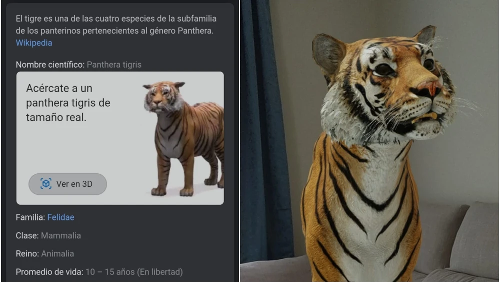 Google 'mete' a un tigre en nuestro salón