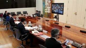 Imagen de la videoconferencia de Pedro Sánchez con los presidentes autonómicos celebrada este domingo