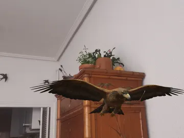 Animales 3D Google Animales 3D Google