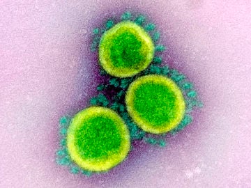 La OMS confirma que el coronavirus no viaja libremente por el aire sino en gotas