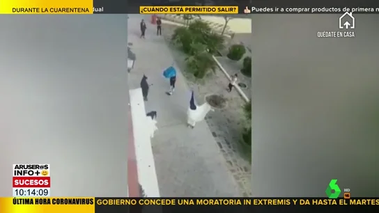 utrera utrera