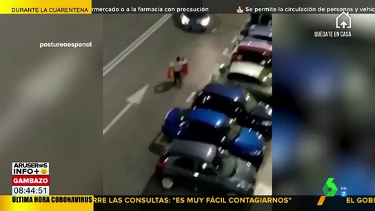torea policia torea policia