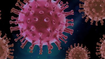 secuenciación coronavirus