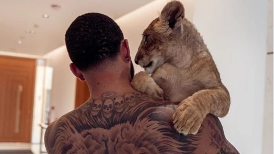 Memphis Depay y su león. Memphis Depay y su león.