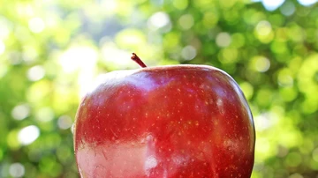 Imagen de archivo de una manzana