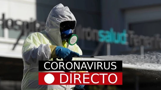 Imagen de una persona con material de protección frente al coronavirus Imagen de una persona con material de protección frente al coronavirus