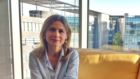 La directora de la Agencia Española de Medicamentos y Productos Sanitarios, María Jesús Lamas Díaz La directora de la Agencia Española de Medicamentos y Productos Sanitarios, María Jesús Lamas Díaz