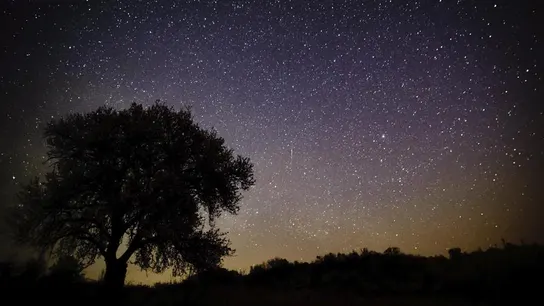 Las Líridas 2020: cómo ver la lluvia de estrellas de abril desde el balcón Las Líridas 2020: cómo ver la lluvia de estrellas de abril desde el balcón