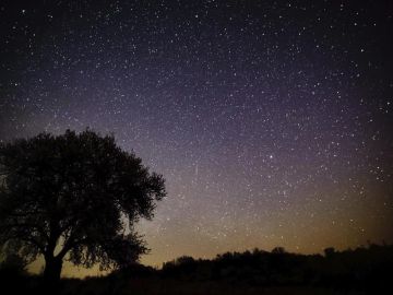 Las Líridas 2020: cómo ver la lluvia de estrellas de abril desde el balcón Las Líridas 2020: cómo ver la lluvia de estrellas de abril desde el balcón