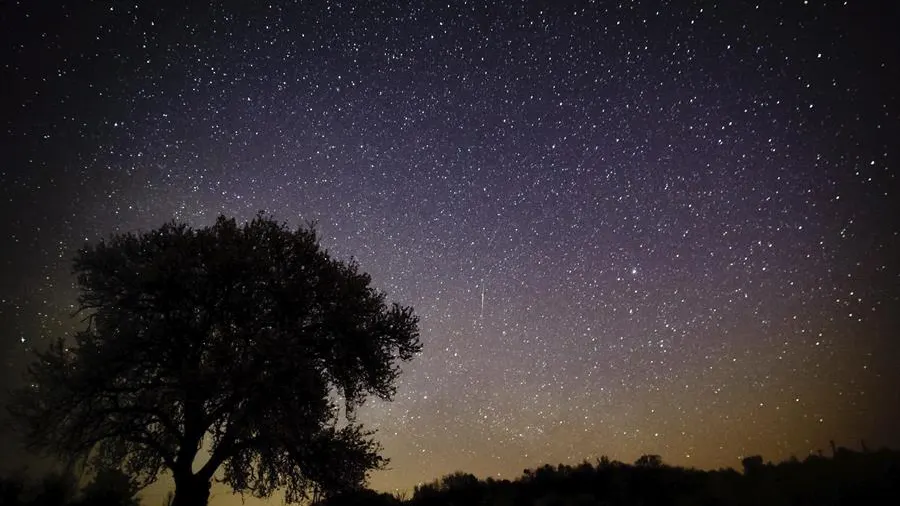 Las Líridas 2020: cómo ver la lluvia de estrellas de abril desde el balcón