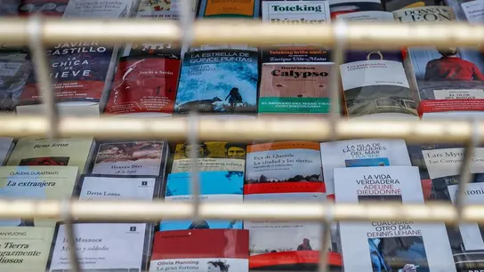 Actividades para celebrar el Día del Libro 2020 en cuarentena Actividades para celebrar el Día del Libro 2020 en cuarentena