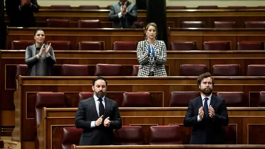 Diputados de Vox durante el aplauso sanitario en el pleno del Congreso Diputados de Vox durante el aplauso sanitario en el pleno del Congreso