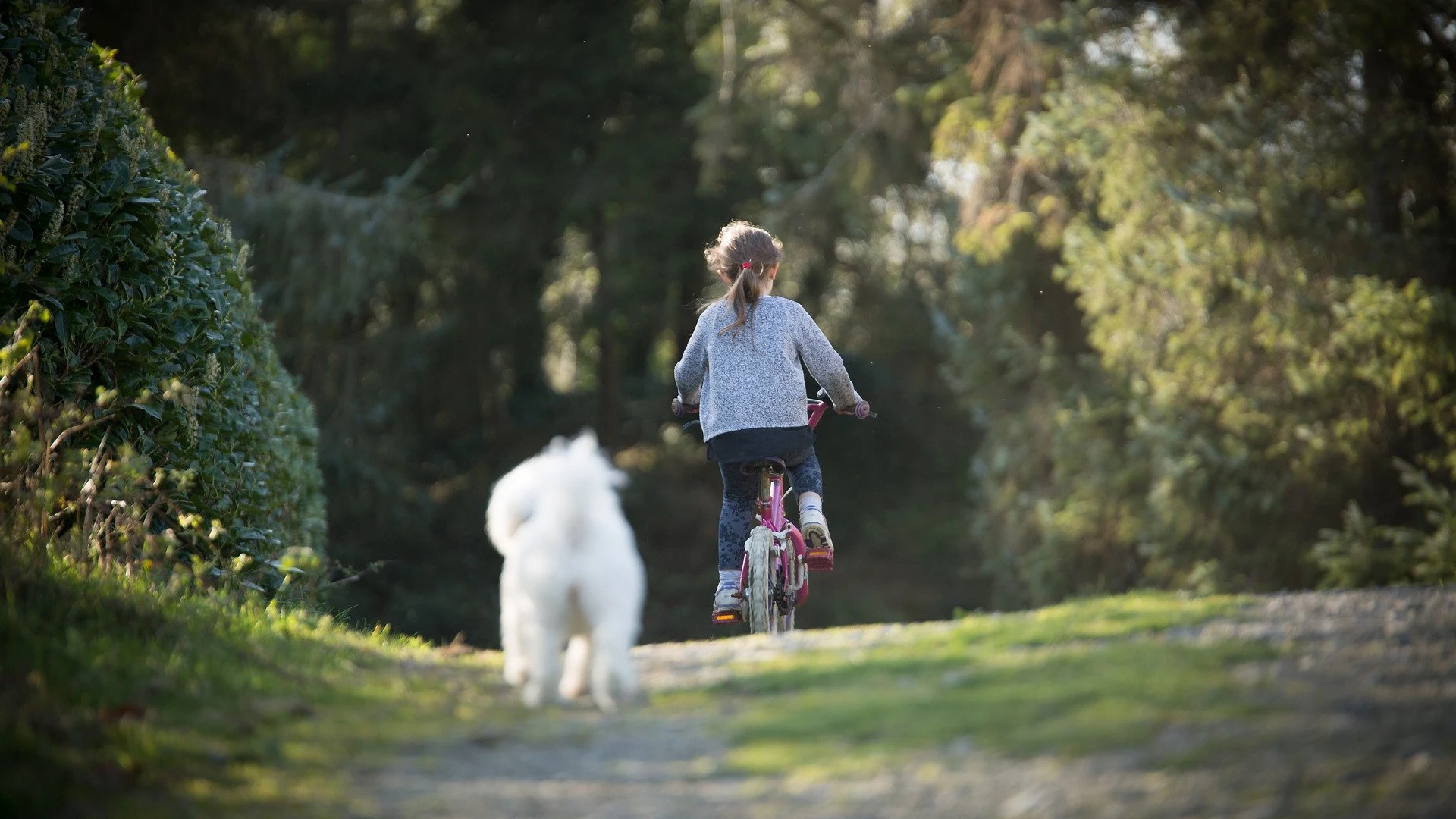 Una niña montando en bicicleta Salida niños