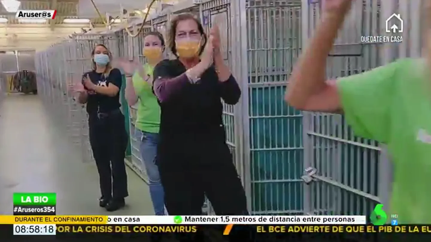 Alegrías en tiempo de pandemia: así ha celebrado un refugio de animales el quedarse vacíos en plena cuarentena Alegrías en tiempo de pandemia: así ha celebrado un refugio de animales el quedarse vacíos en plena cuarentena