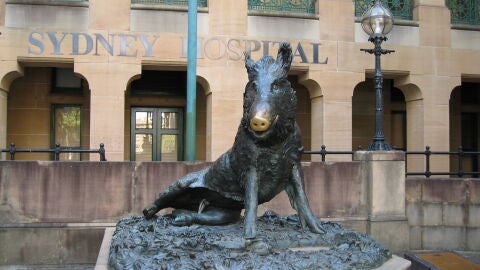 Il Porcellino