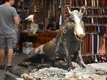 Porcellino Florencia Porcellino Florencia