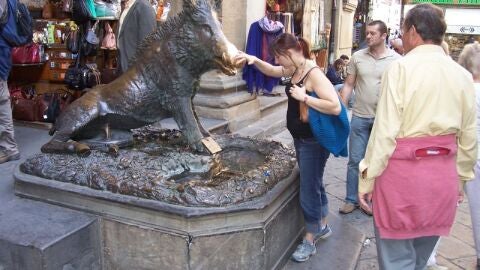Il Porcellino, Florencia