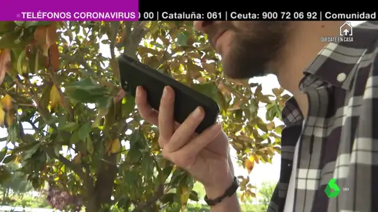 Desarrollan una app para diagnosticar coronavirus solo con la tos Desarrollan una app para diagnosticar coronavirus solo con la tos