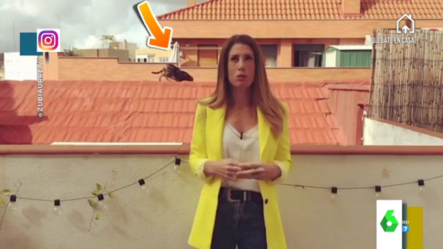 Isabel Zubiaurre dando el tiempo desde su casa en laSexta Isabel Zubiaurre dando el tiempo desde su casa en laSexta