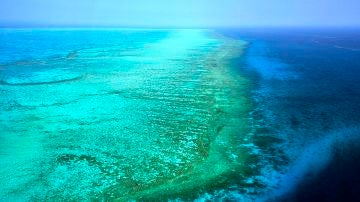Barrera de coral