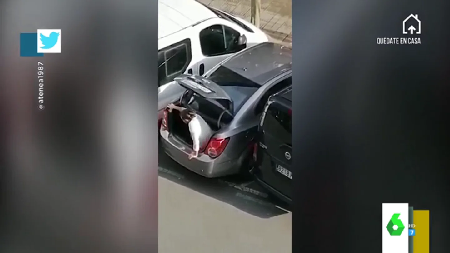 coche ok coche ok