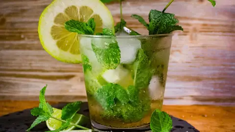 Mojito Mojito