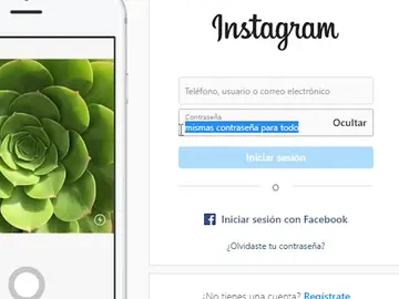 Contraseña Instagram Contraseña Instagram