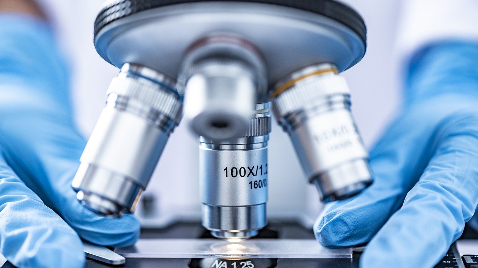 microscopio