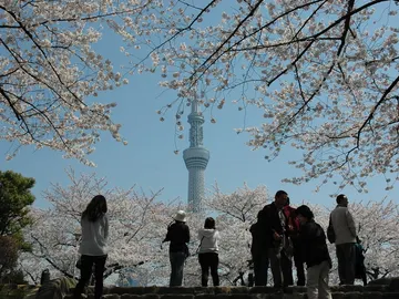 Tokio Skytree Tokio Skytree