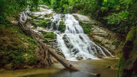 Cascada