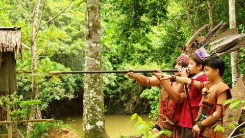 Belum Rainforest